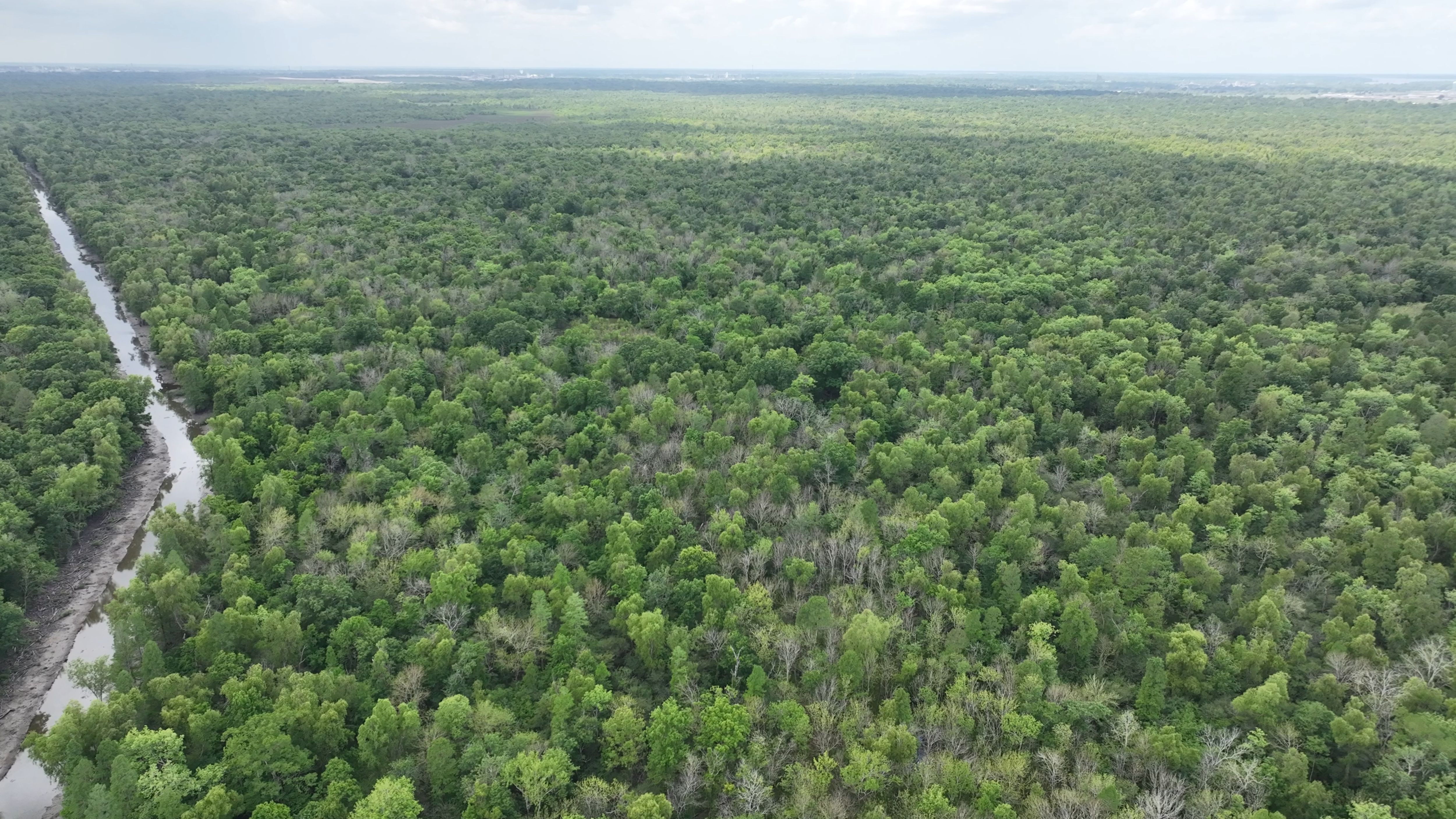 Listing Photo: Louisiana Spanish Lake Recreational Hunting Land